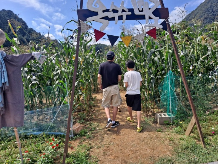 76173ddfae65d687498ff758fd3d0d80_1771434