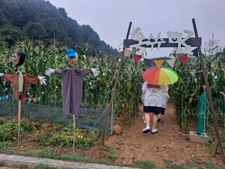 76173ddfae65d687498ff758fd3d0d80_1771434