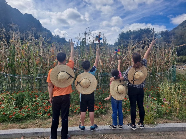 76173ddfae65d687498ff758fd3d0d80_1771434