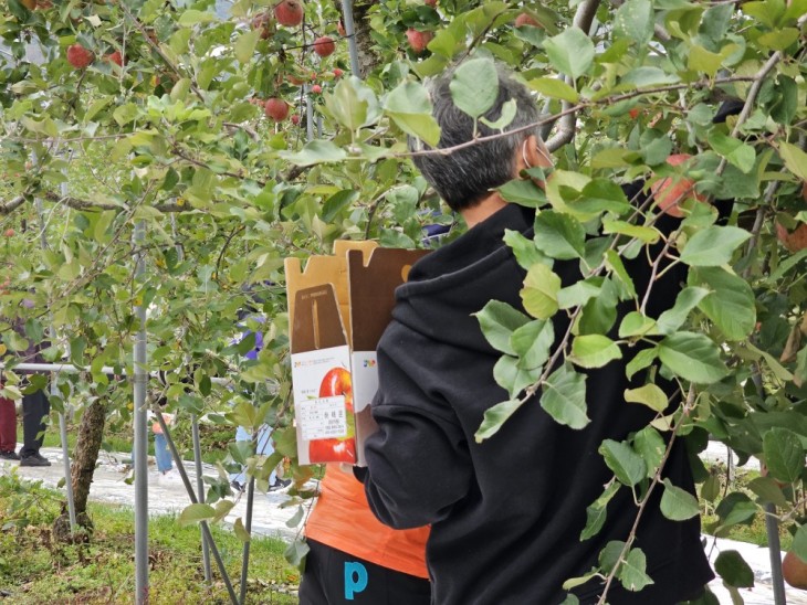 f8a119942b6c56b47fce9b7eec786ebe_1771494